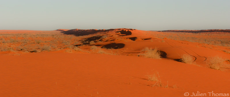 Panorama dune - Camping désert